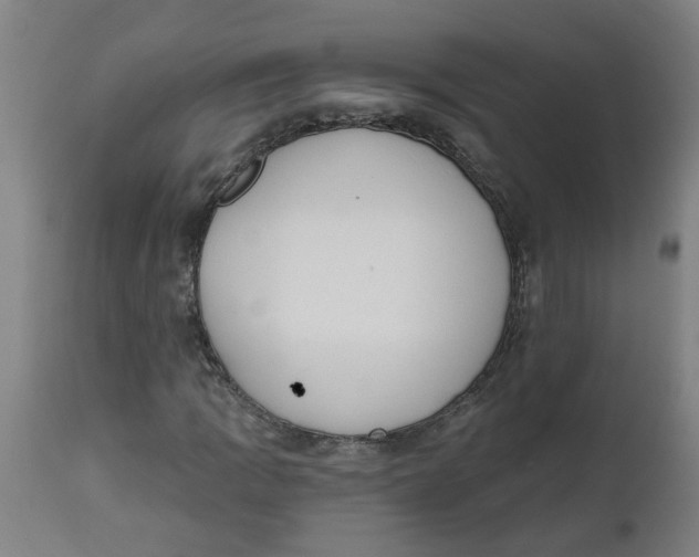 X0000112501109200909071238