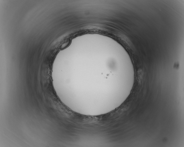 X0000112501111200909071238