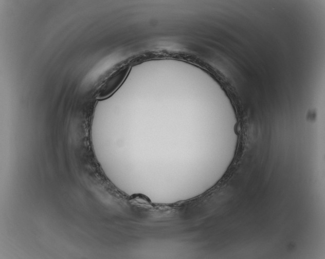 X0000112501112200909071238