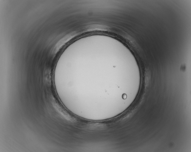 X0000112501113200909071238