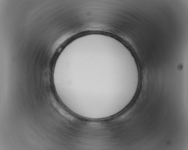 X0000112501114200909071238