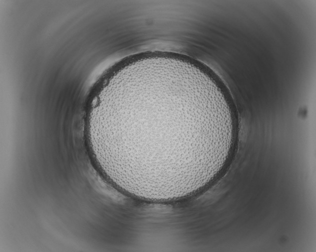 X0000112501115200909071238