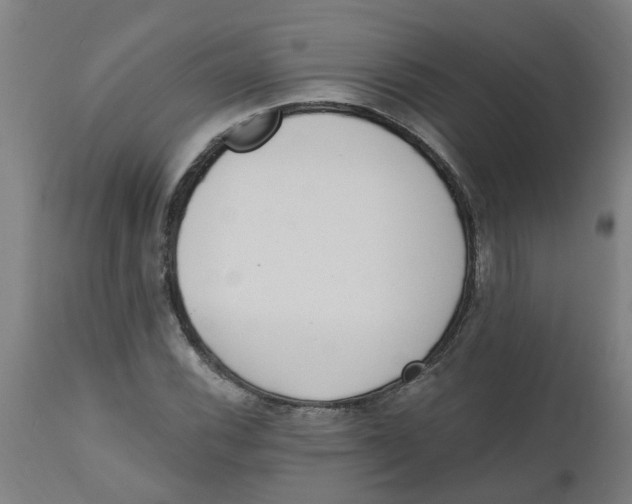 X0000112501116200909071238