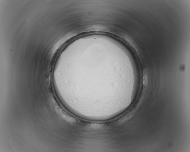 X0000112501117200909071238