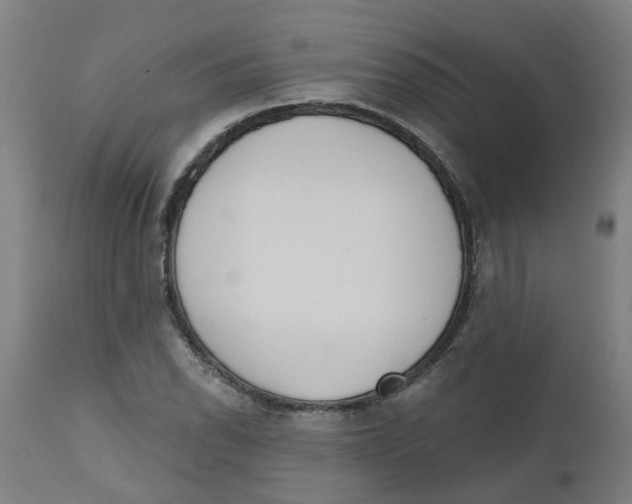 X0000112501118200909071238