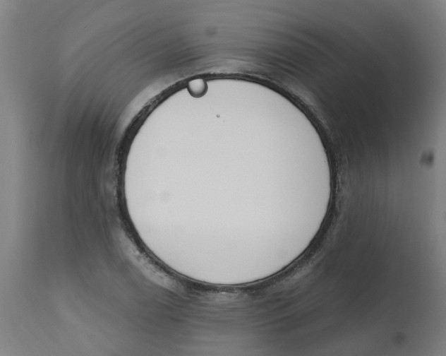 X0000112501122200909071238