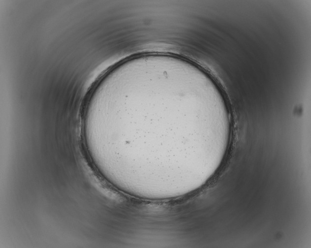 X0000112501125200909071238