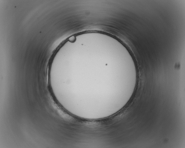 X0000112501127200909071238