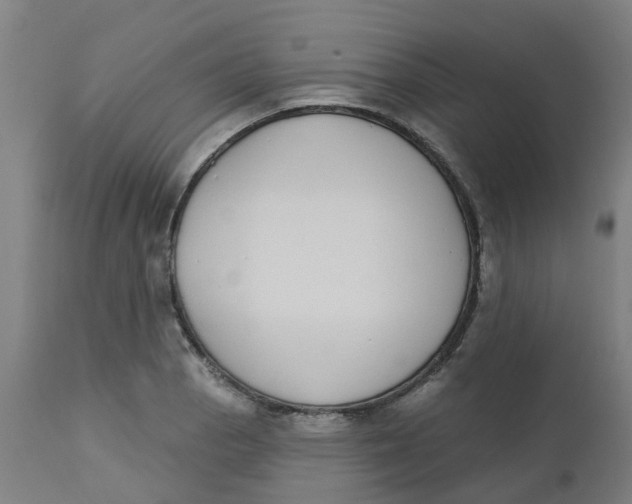 X0000112501129200909071238