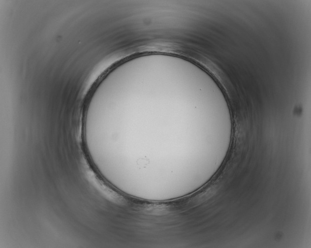 X0000112501131200909071238