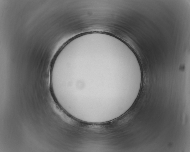 X0000112501132200909071239