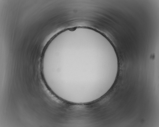 X0000112501134200909071239