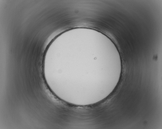 X0000112501138200909071239