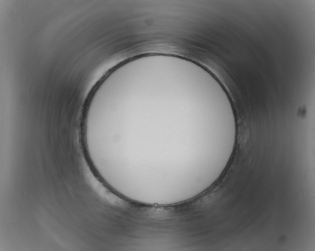 X0000112501139200909071239