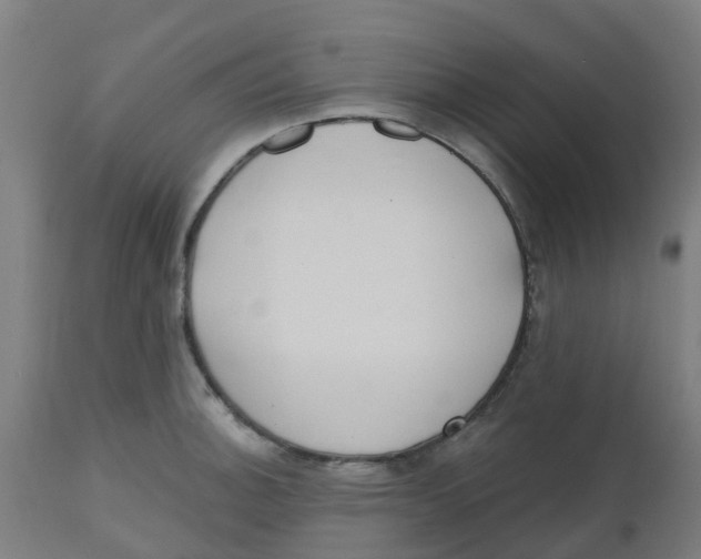 X0000112501140200909071239