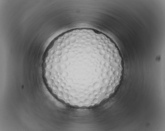 X0000112501142200909071239