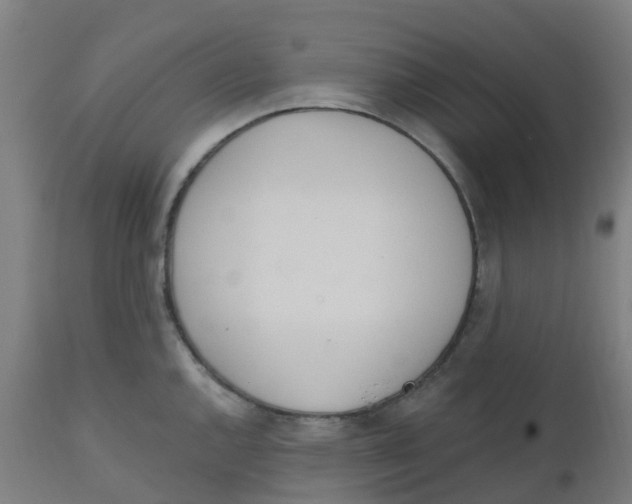 X0000112501144200909071239