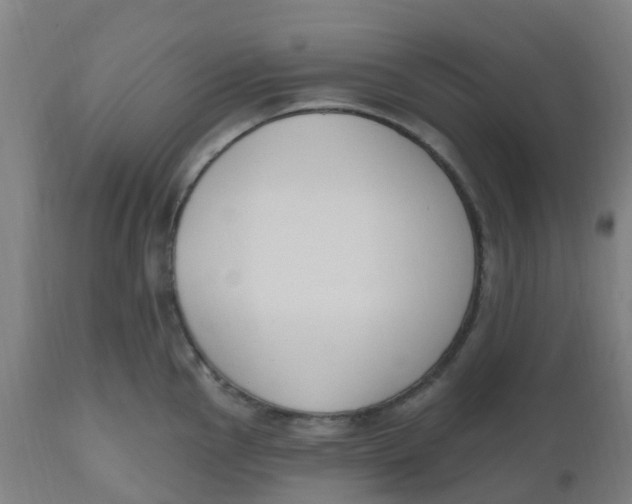 X0000112501145200909071239