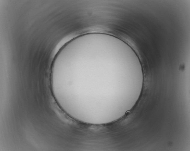 X0000112501146200909071239