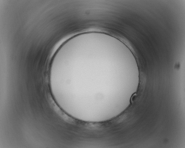 X0000112501148200909071239