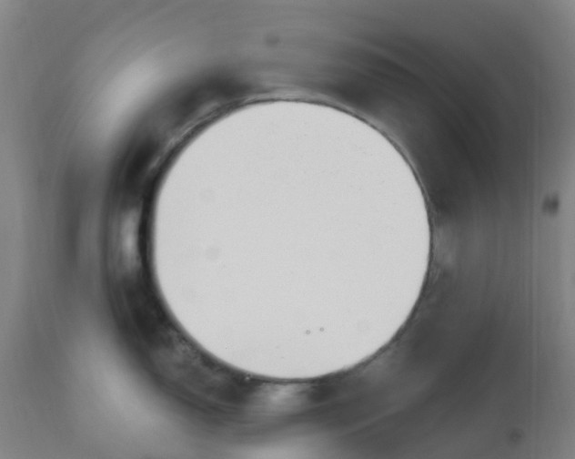 X0000112501150200909071239