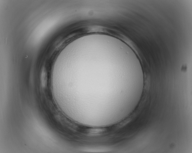 X0000112501151200909071239