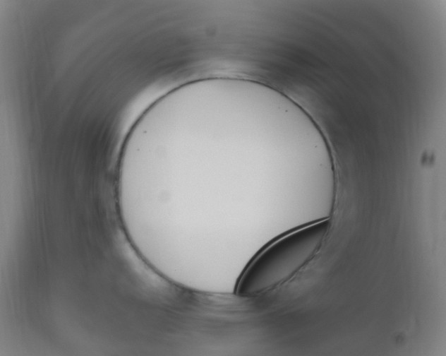 X0000112501152200909071239