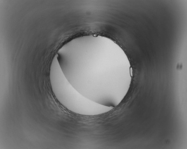 X0000112501153200909071238