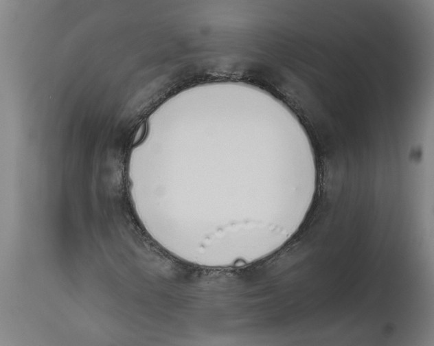 X0000112501154200909071238