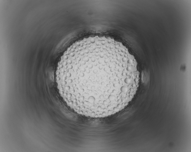 X0000112501155200909071238