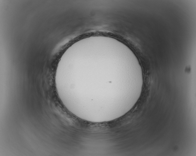 X0000112501159200909071238