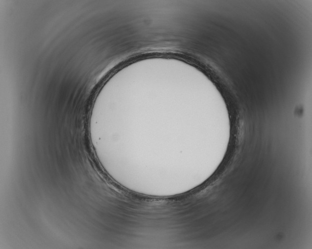 X0000112501162200909071238