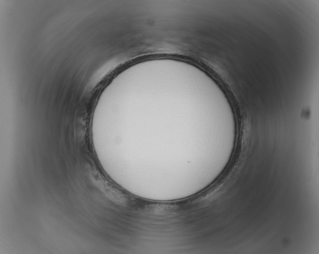 X0000112501163200909071238