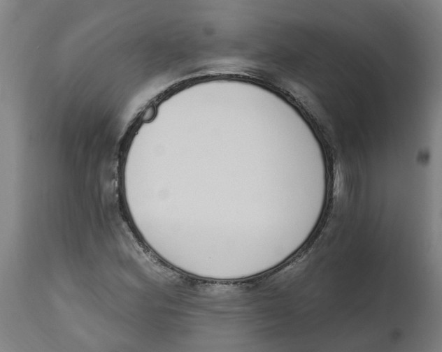 X0000112501164200909071238