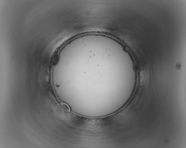 X0000112501165200909071238