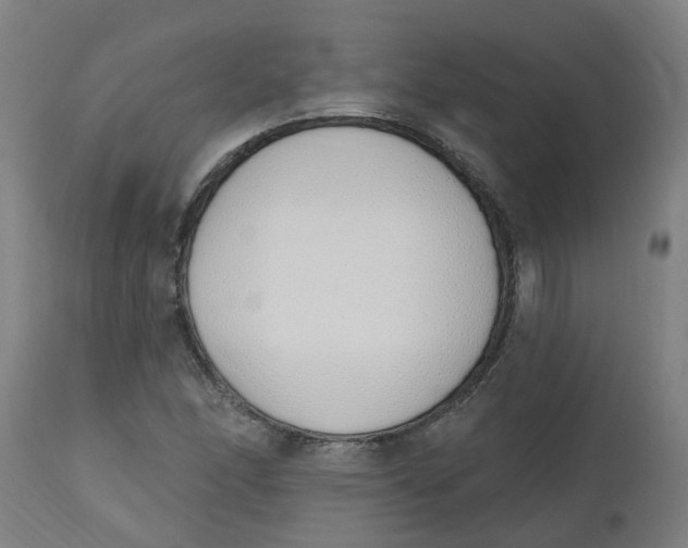 X0000112501166200909071238