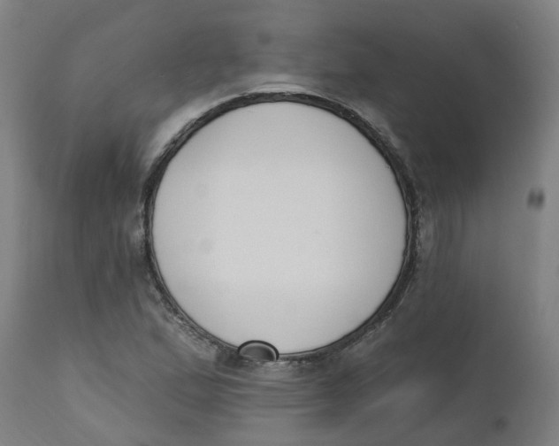 X0000112501167200909071238