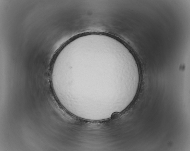 X0000112501168200909071238