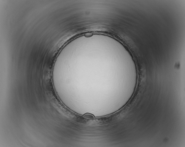 X0000112501169200909071238