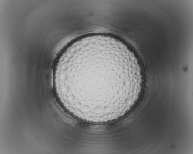 X0000112501171200909071238