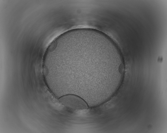 X0000112501173200909071238