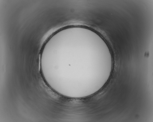 X0000112501175200909071238