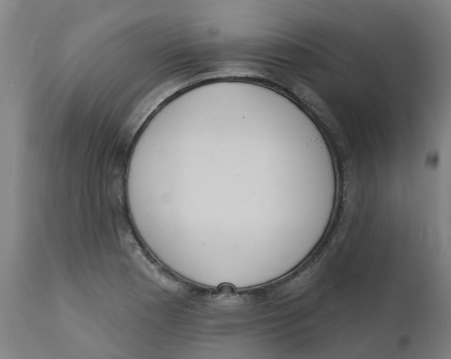 X0000112501177200909071238