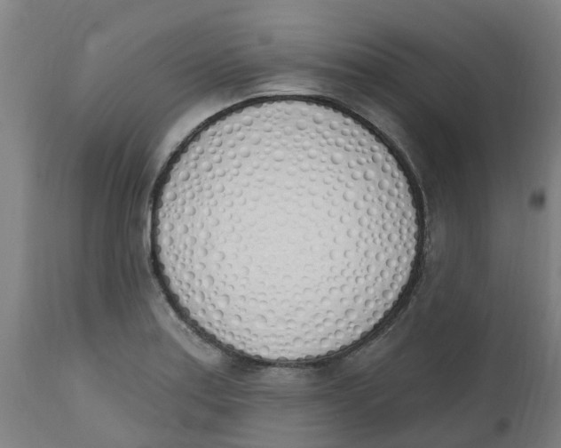 X0000112501179200909071238