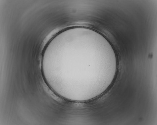 X0000112501180200909071238