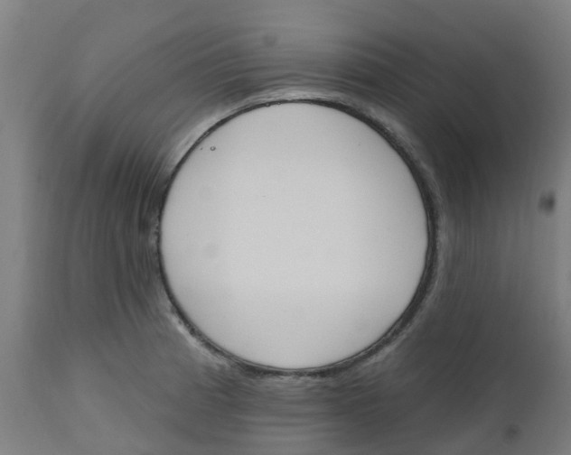 X0000112501185200909071238