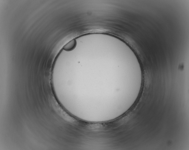 X0000112501186200909071238