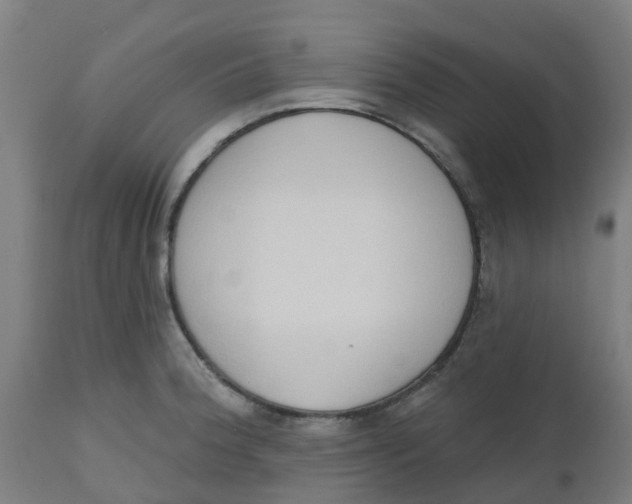 X0000112501188200909071238