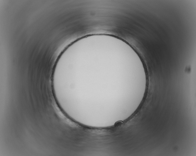 X0000112501189200909071238