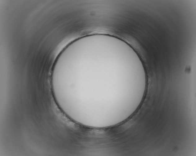 X0000112501190200909071238